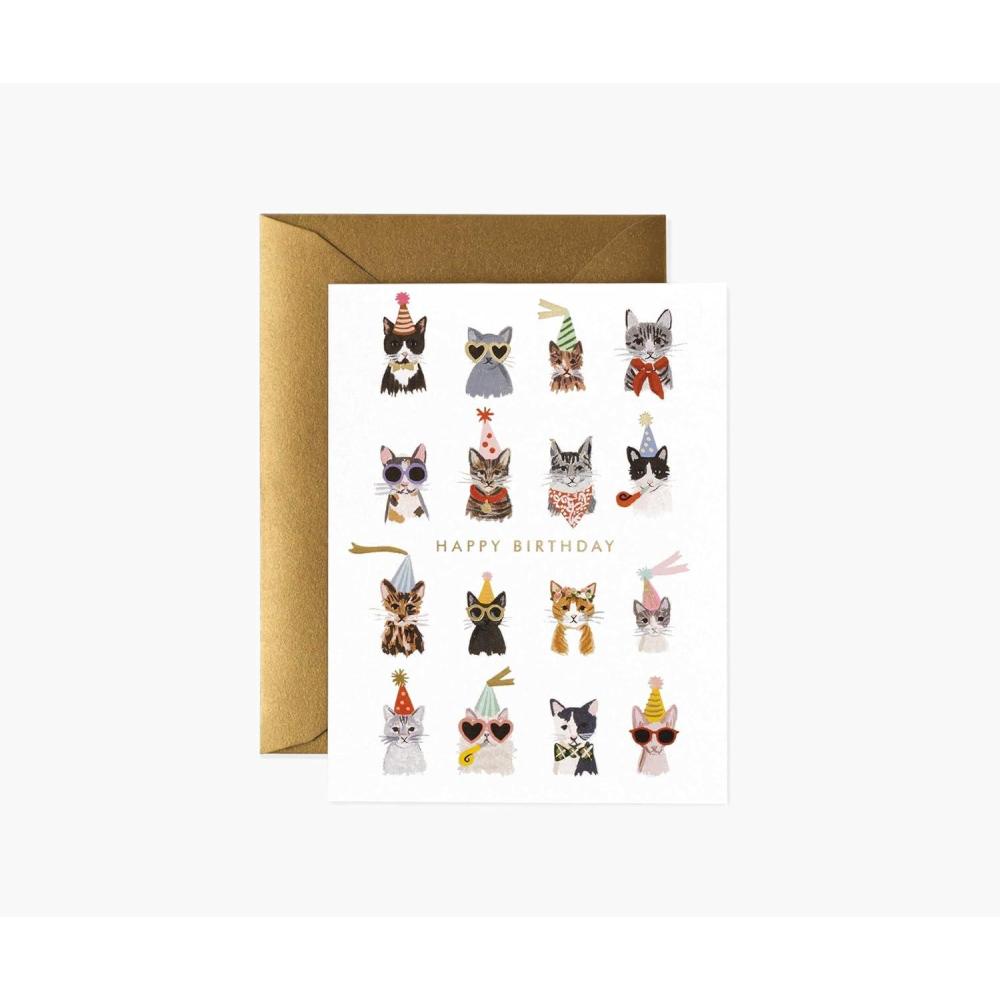 imageRIFLE PAPER CO Birthday Cards Boxed Set of 12 with Envelopes Cool Cats Lets Your Thoughtful Handwritten Note Take Center Stage Crafted in the USA 425quot L x 55quot W